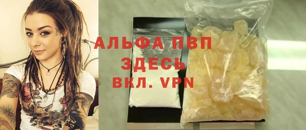 крисы Баксан