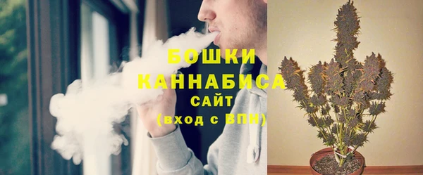 крисы Баксан