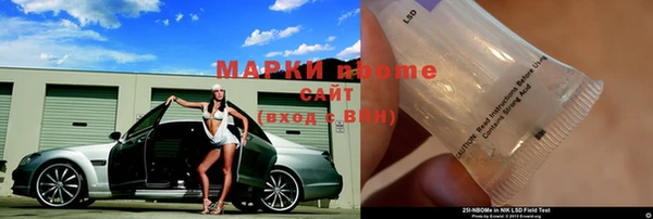 крисы Баксан