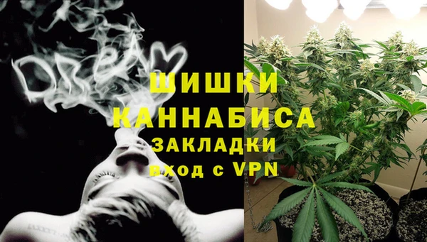 крисы Баксан